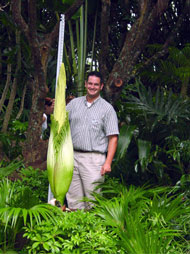 James R. Thompson with the Disney Amorphophallus titanum on July 16, 2004.