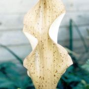 Image of Amorphophallus ankarana  Hett..
