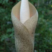 Image of Amorphophallus bulbifer  (Roxb.) Bl..