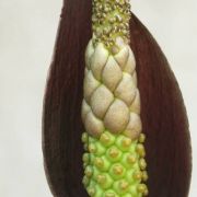 Image of Amorphophallus konkanensis  Hett., Yadav & Patil.