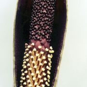 Image of Amorphophallus tenuistylis  Hett..